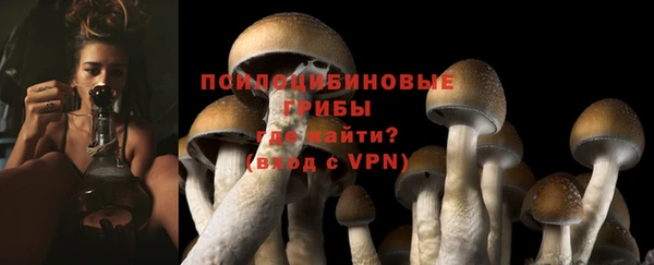 гашик Армянск