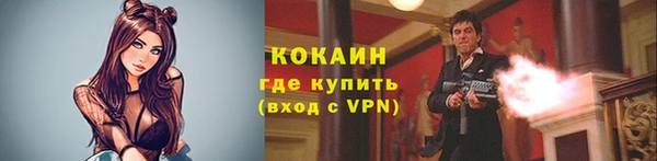 соль ск Арсеньев