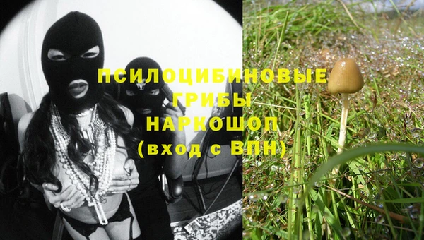 гашик Армянск